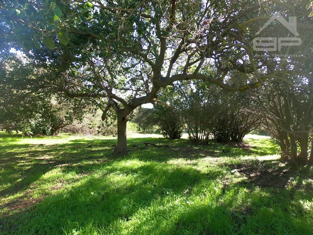 Predio agrícola en El Rincón 