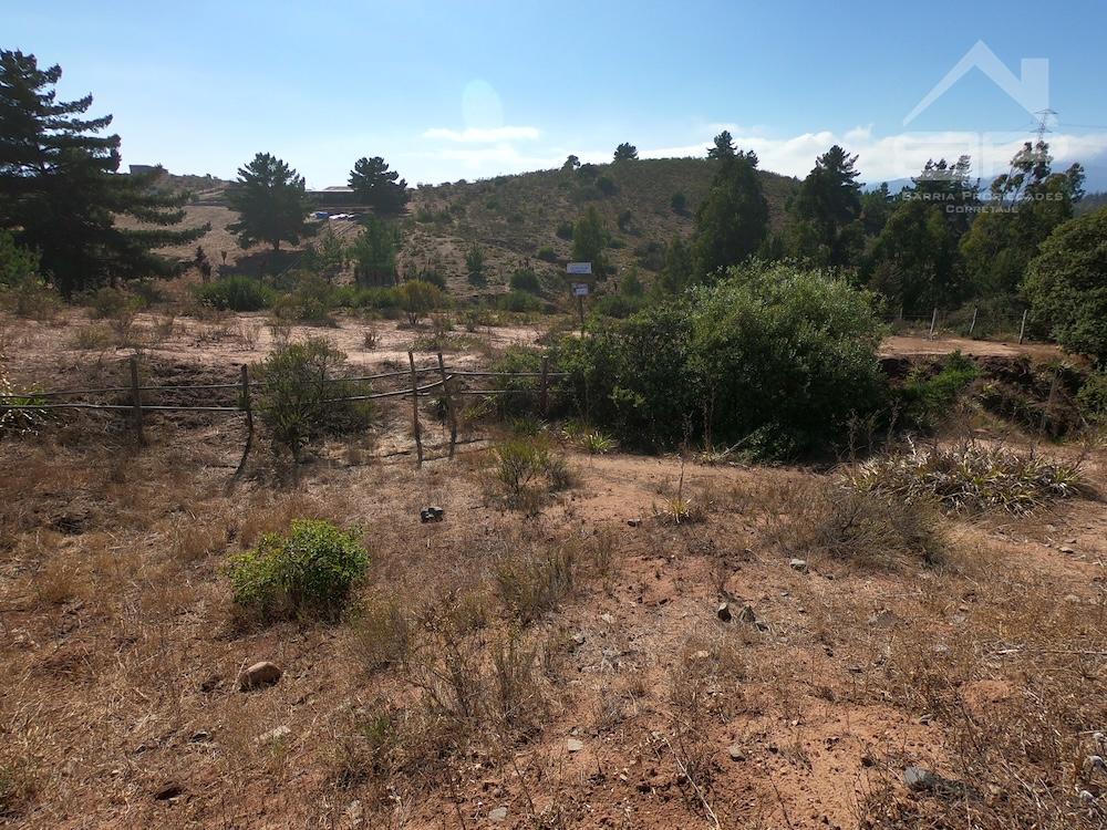 Predio destino agricola en Melosilla, Puchuncaví