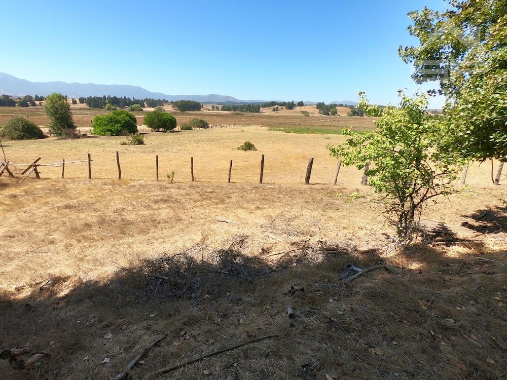 Predio Agricola en Campiche