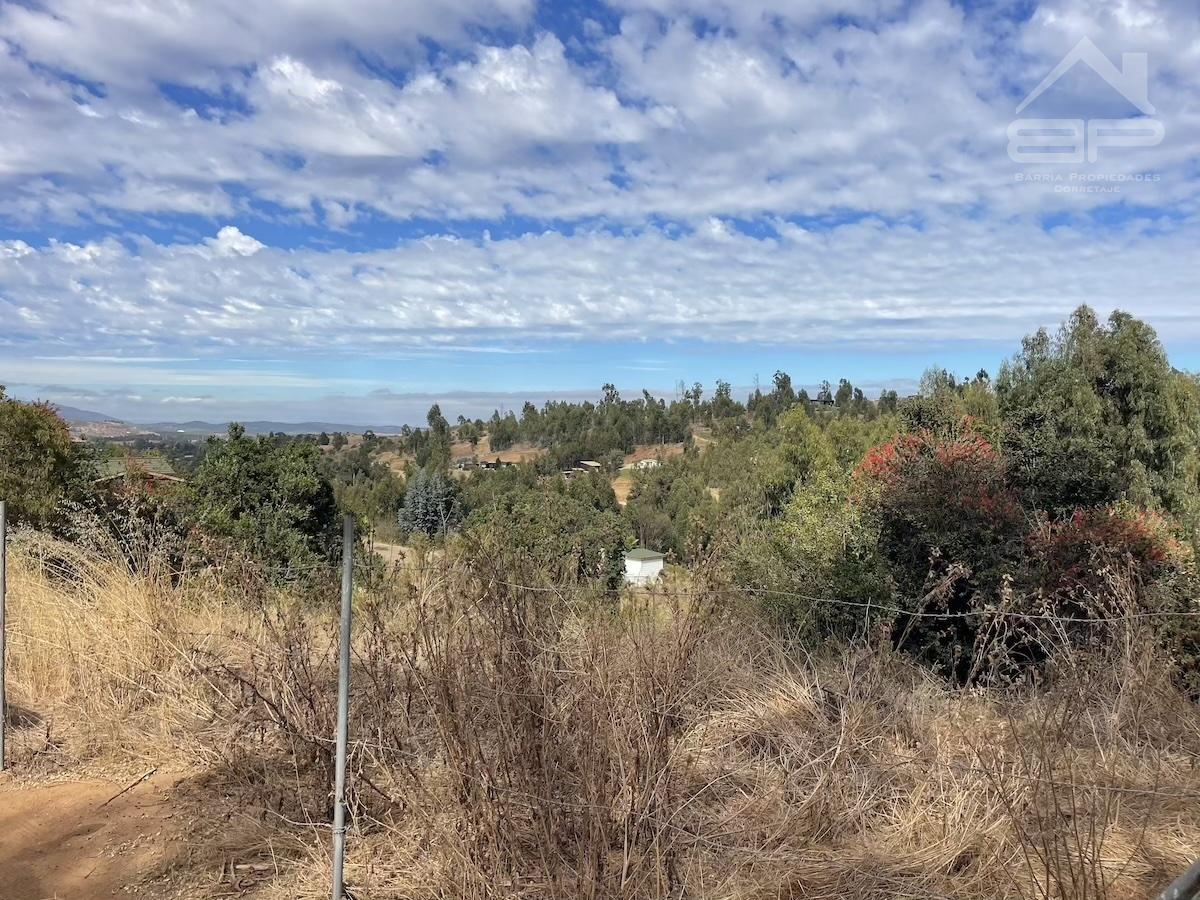 Predio Agrícola El Rungue, Potrerillos. 