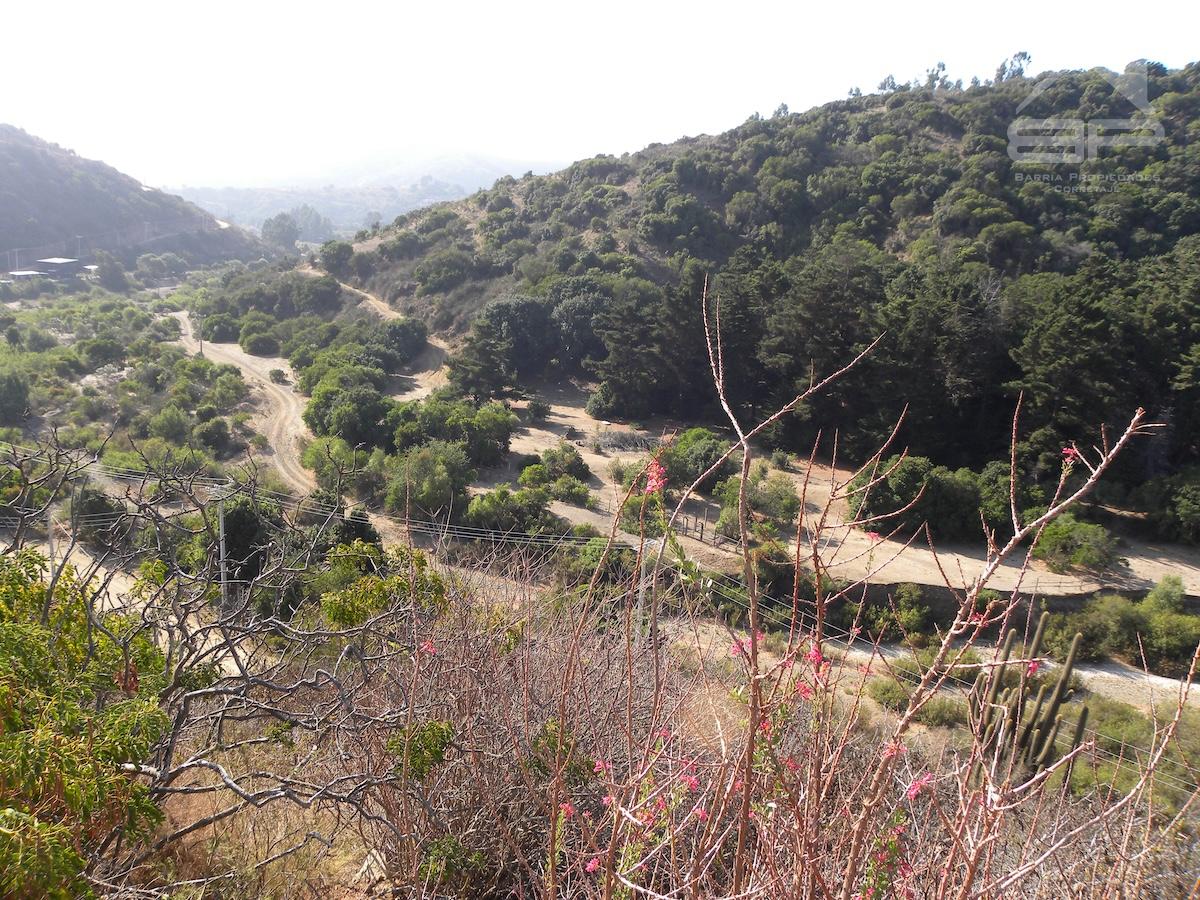 Parcela en Laguna de Maitencillo