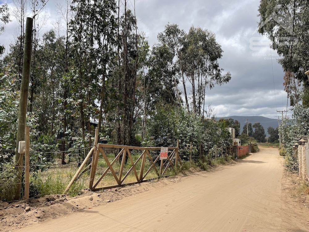 Sitio en Camino Las Cañas Maitencillo Sur