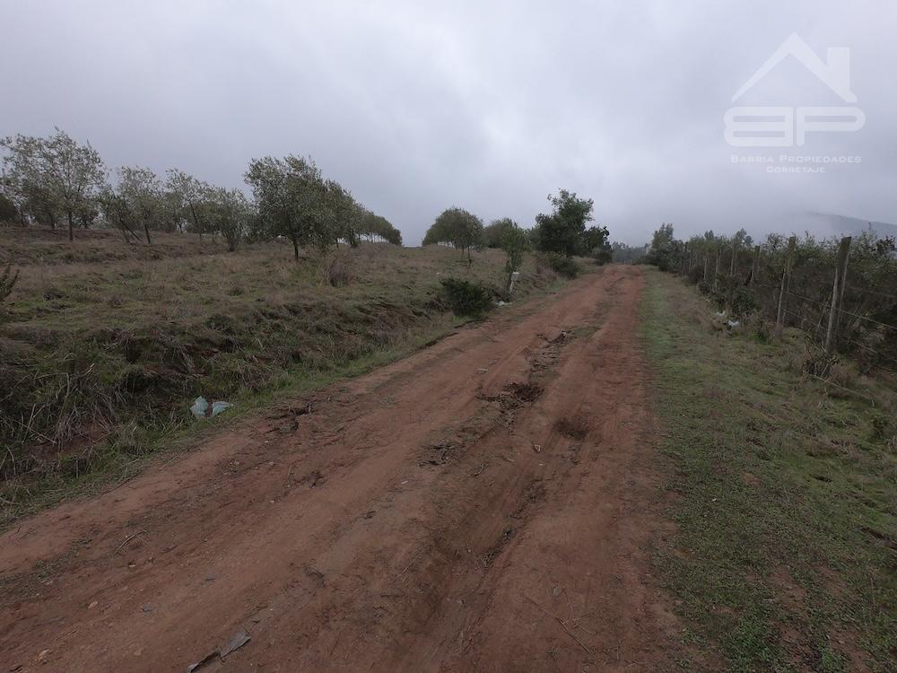 Predio Agrícola El Rungue Interior 
